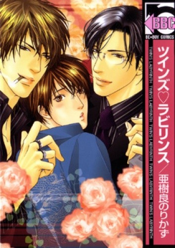 Twin’s Labirynth - Norikazu Akira