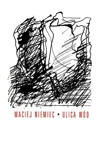 Ulica wód - Maciej Niemiec