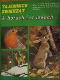 W borach i w lasach - Michel Cuisin