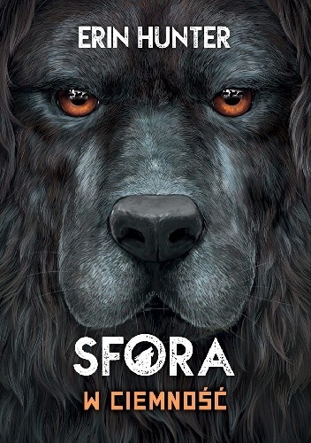W ciemność - Erin Hunter