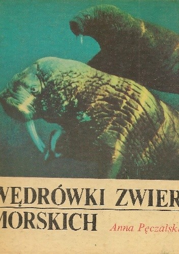 Wędrówki zwierząt morskich - Anna Pęczalska