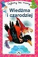 Wiedźma i czarodziej - Ann Rocard