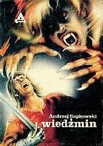 Wiedźmin - Andrzej Sapkowski