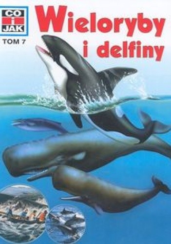Wieloryby i delfiny - Petra Deimer