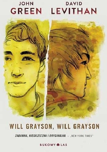 Will Grayson, Will Grayson - David Levithan