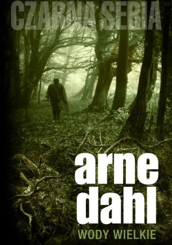 Wody wielkie - Arne Dahl