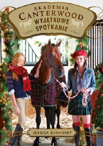 Wyjątkowe spotkanie - Jessica Burkhart