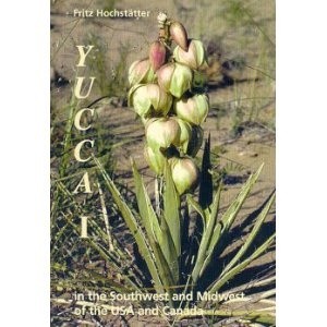 Yucca I - Fritz Hochstatter