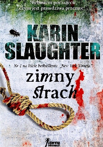 Zimny strach - Karin Slaughter