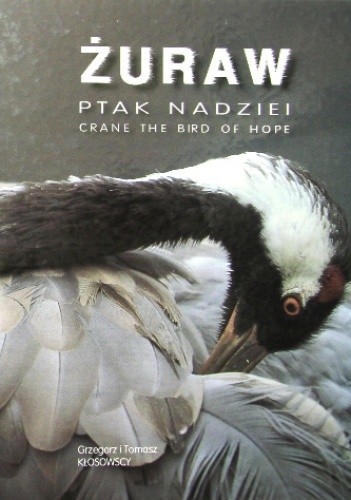 Żuraw - ptak nadziei - Grzegorz Kłosowski