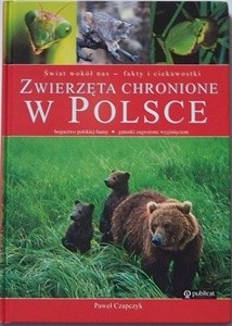Zwierzęta chronione w Polsce - Paweł Czapczyk