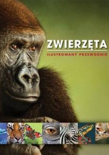 Zwierzęta. Ilustrowany przewodnik - praca zbiorowa